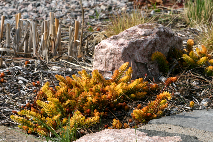 201205157683.jpg