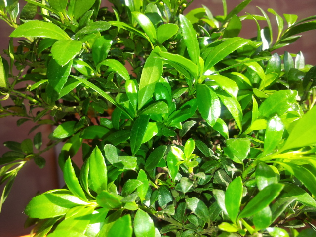 20120522_171036.jpg
