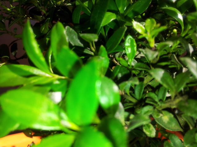 20120522_171046.jpg