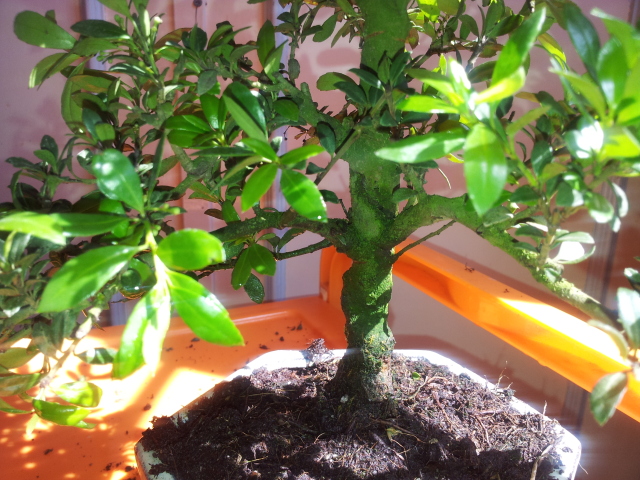 20120522_171054.jpg
