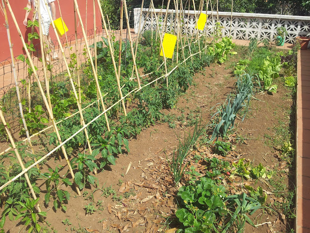 20120530_112647.jpg