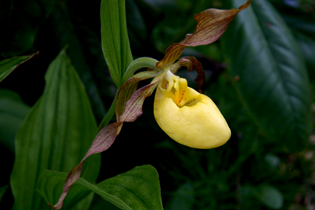 201206067932.jpg