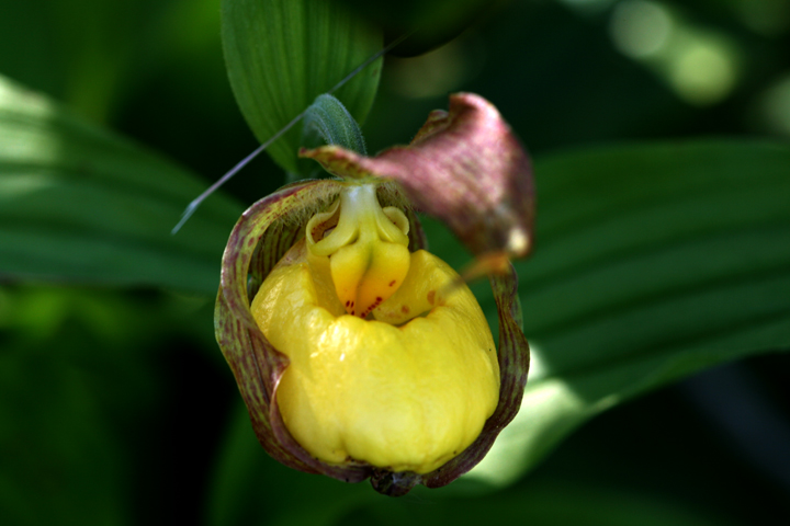 201206077943.jpg