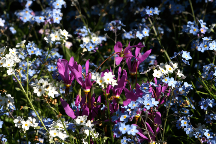 201206077946.jpg