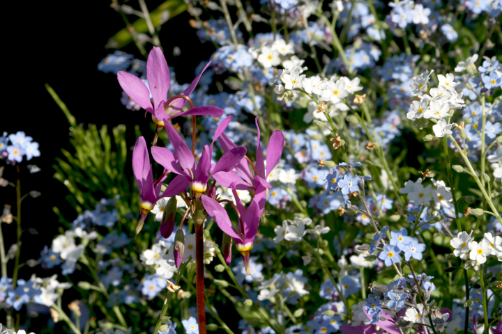201206077947.jpg
