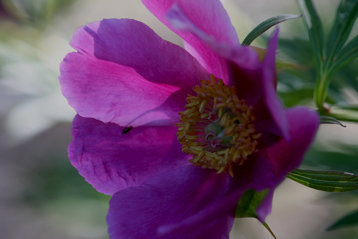 201206077949.jpg