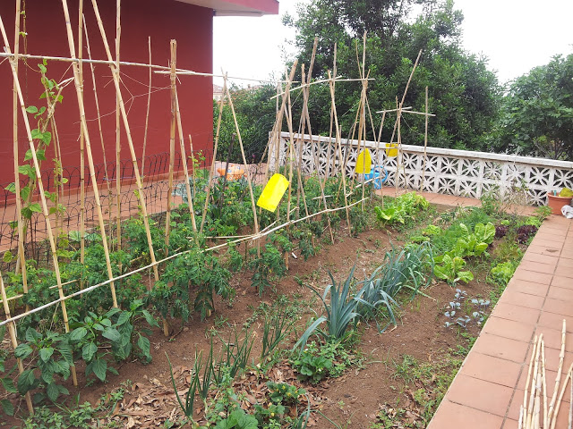 20120610_151855.jpg