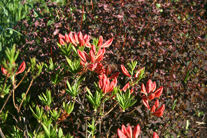 201206147966.jpg