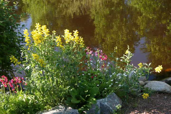 201206147981.jpg