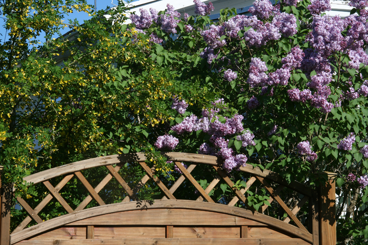 201206147988.jpg