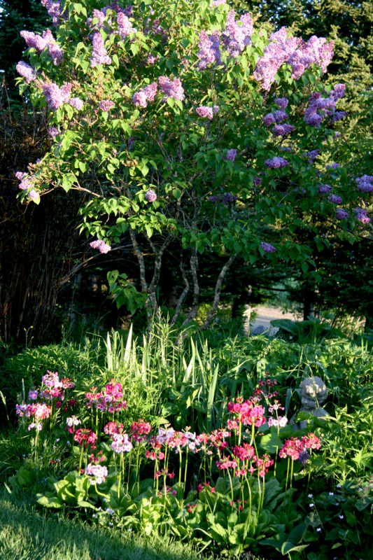 201206157994.jpg