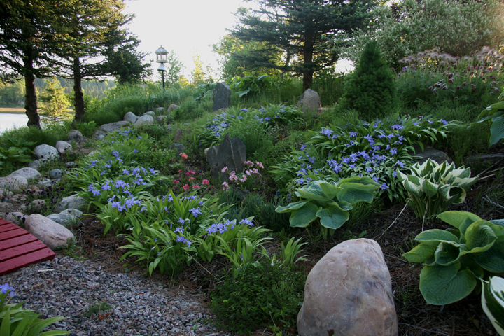 201206157997.jpg