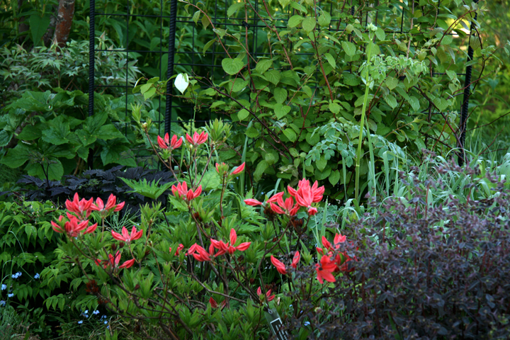 201206158000.jpg