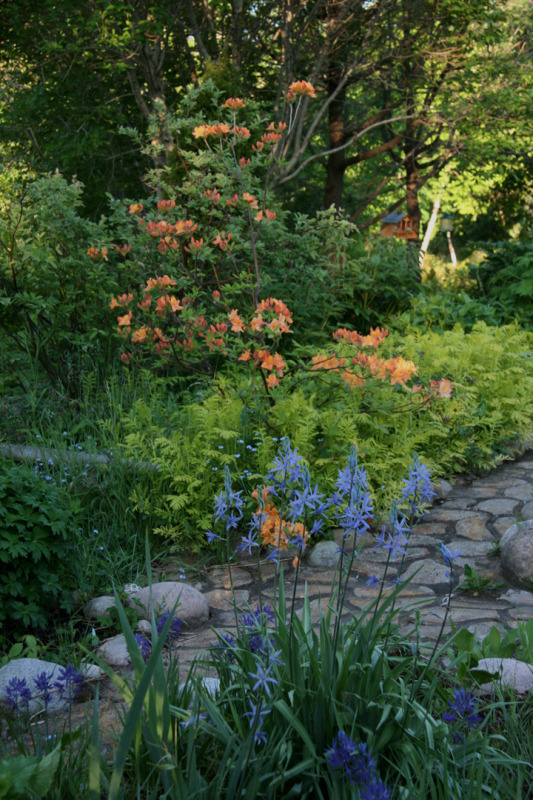 201206158005.jpg