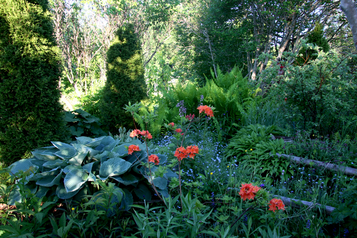 201206158006.jpg