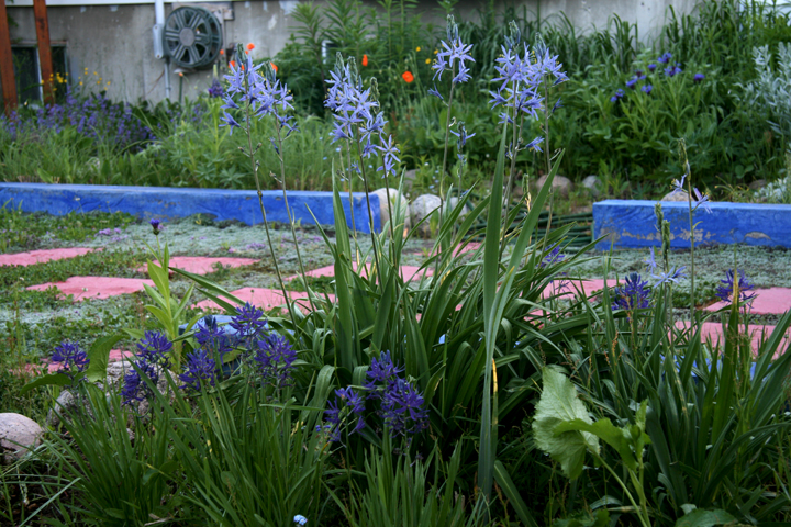 201206158009.jpg