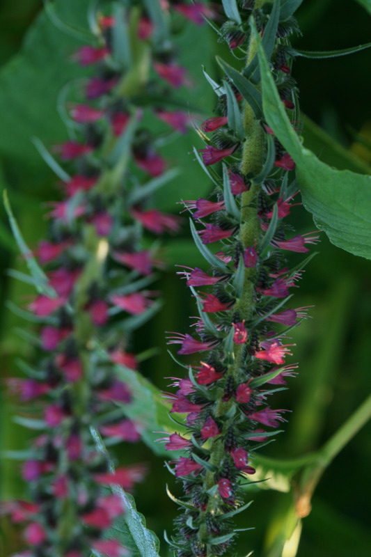 201206158017.jpg