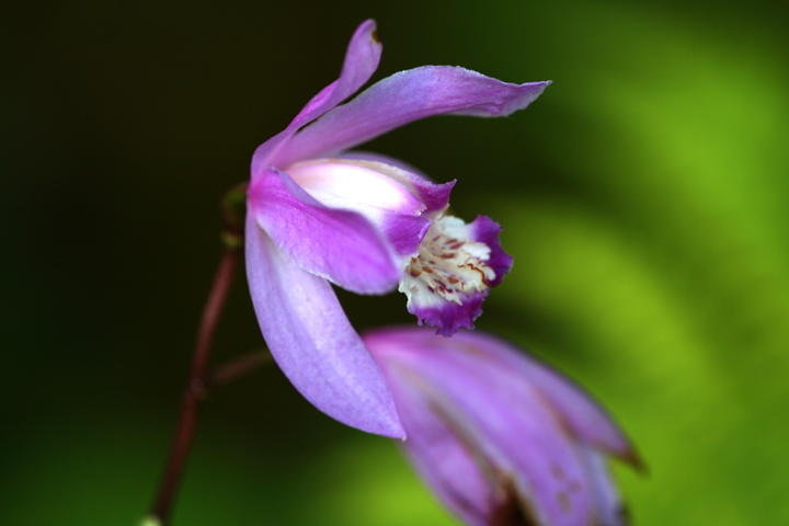 201206158021.jpg
