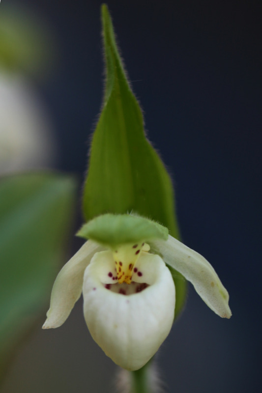 201206158028.jpg