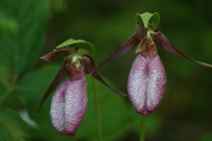 201206158035.jpg