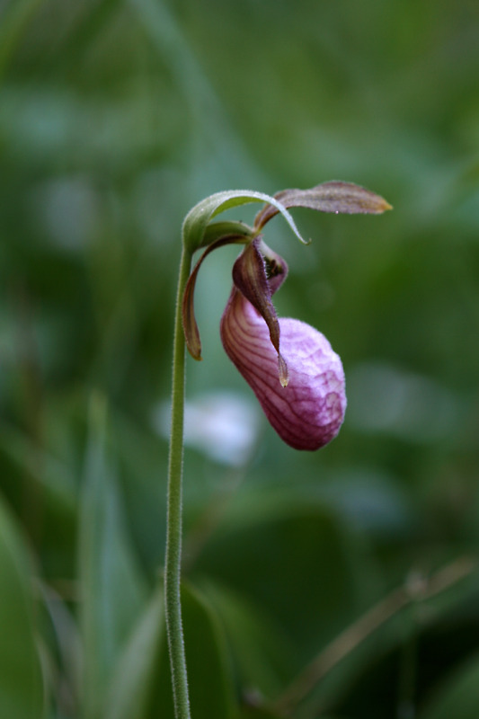 201206158043.jpg