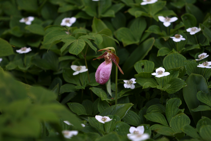 201206158045.jpg