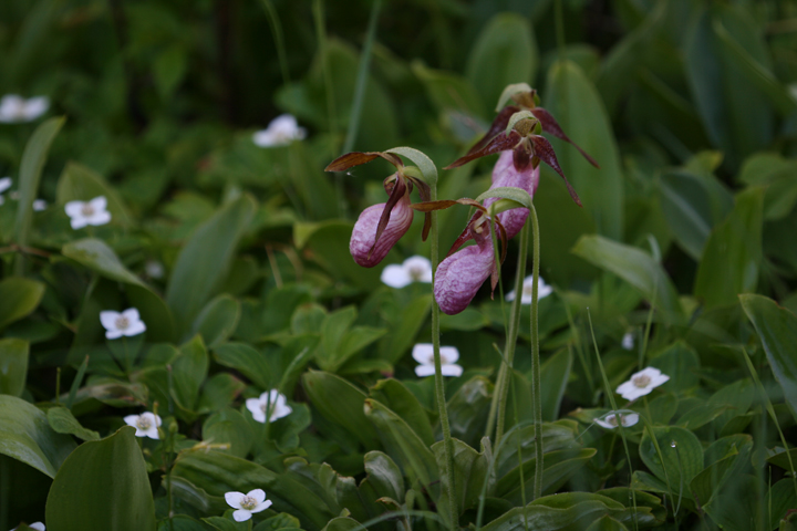 201206158046.jpg