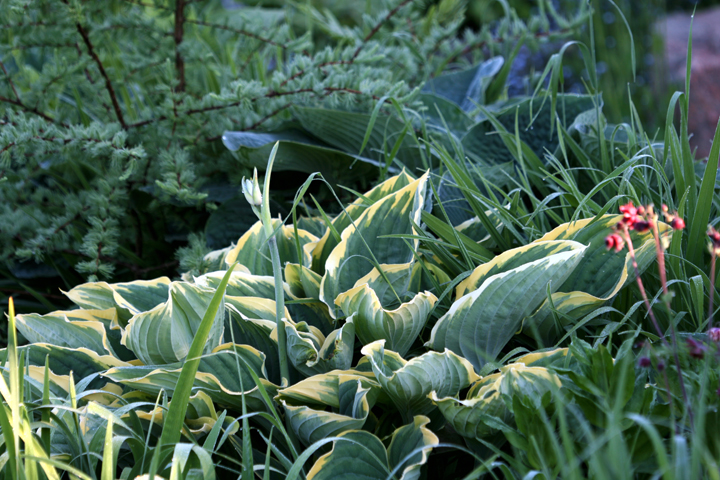 201206158052.jpg