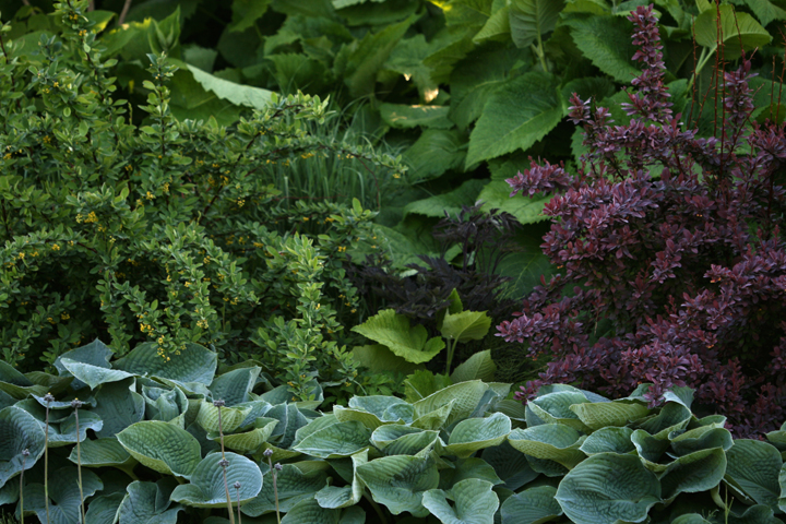 201206158054.jpg