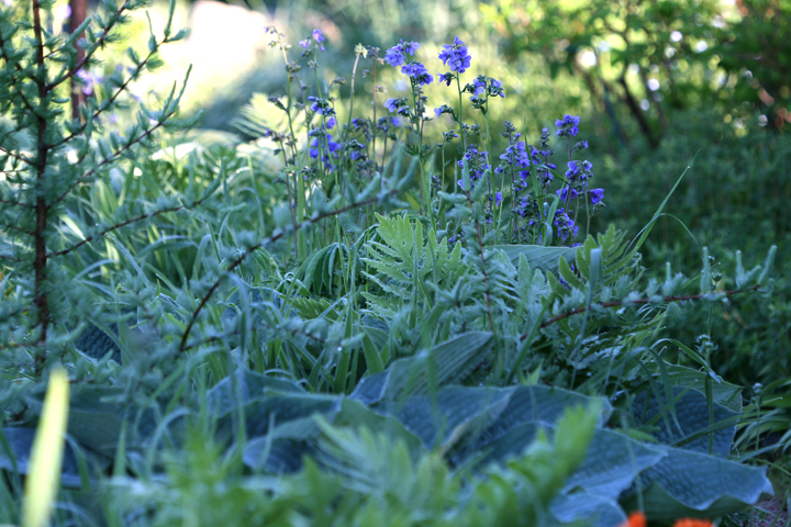 201206158055.jpg