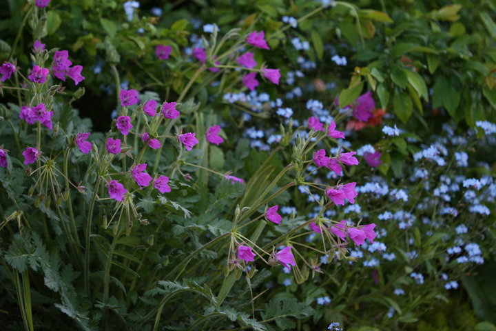 201206158063.jpg