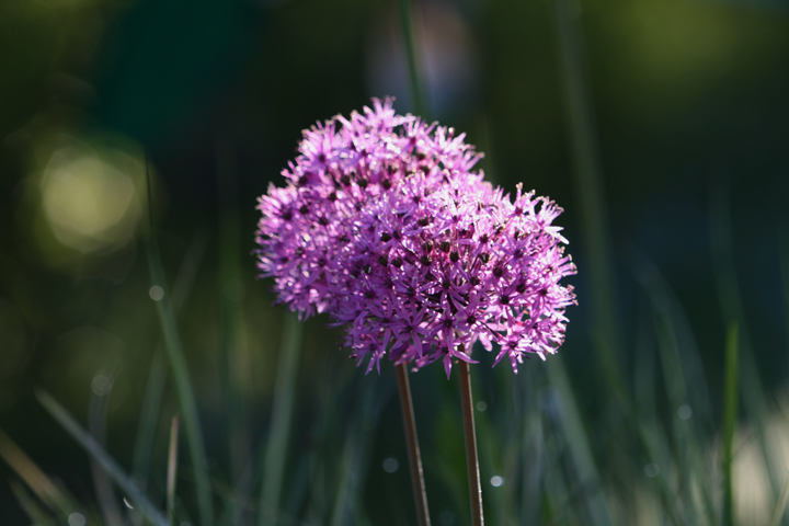 201206158068.jpg