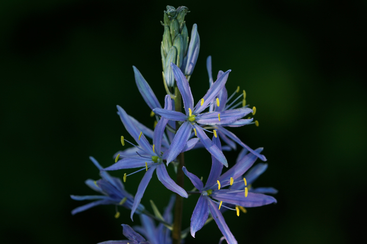 201206158069.jpg