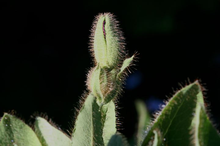 201206158070.jpg