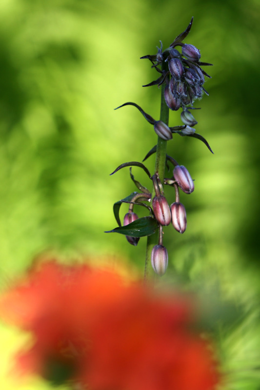 201206158071.jpg
