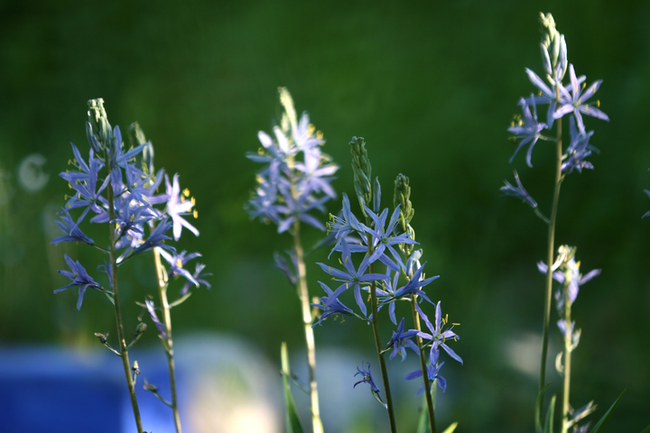 201206158072.jpg