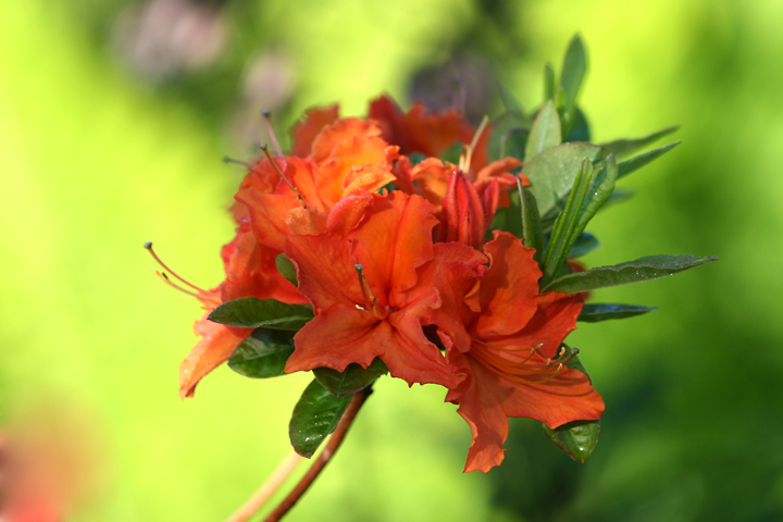 201206158073.jpg
