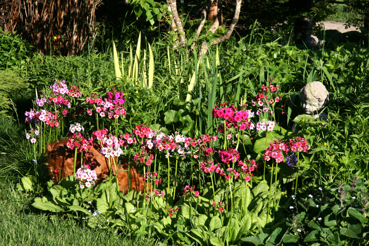 201206158085.jpg