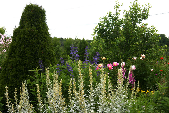 201207098200.jpg