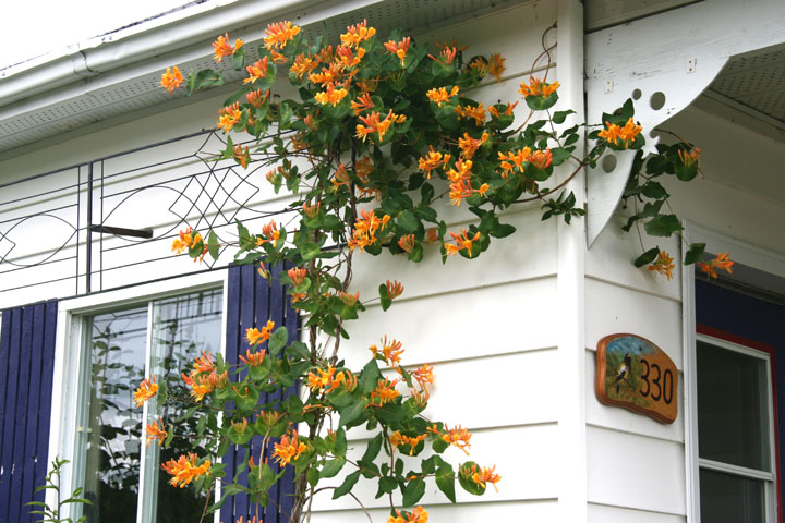 201207098201.jpg