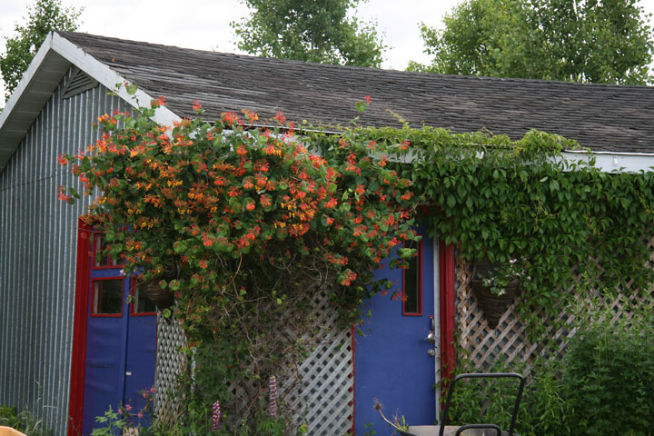 201207098202.jpg