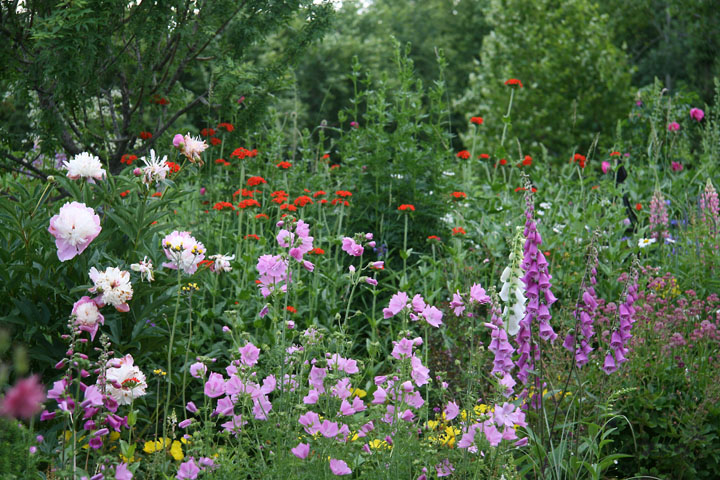 201207098204.jpg