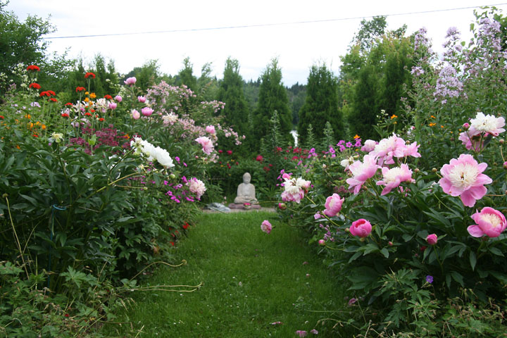 201207098205.jpg