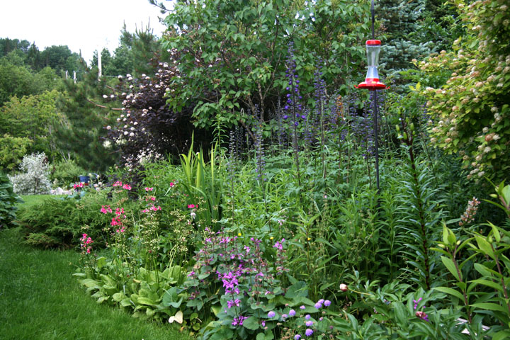 201207098211.jpg