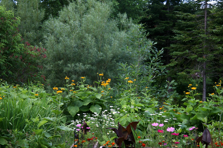 201207098216.jpg