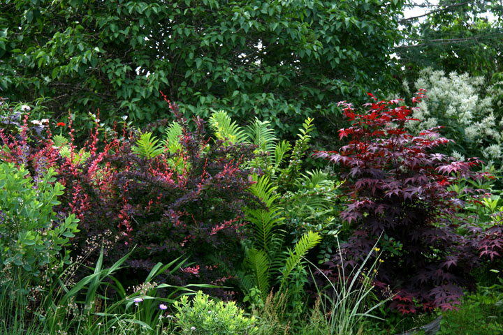 201207098217.jpg