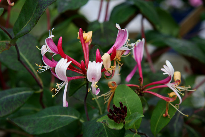 201207098219.jpg