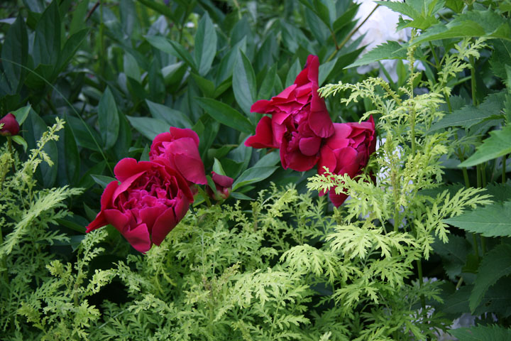 201207098222.jpg
