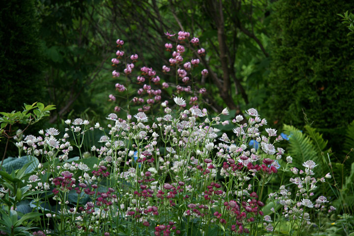 201207098223.jpg