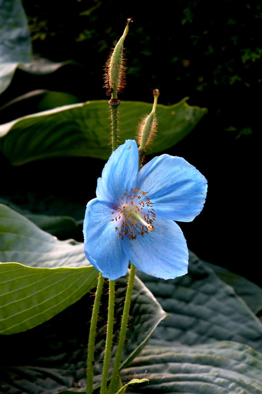 201207098224.jpg